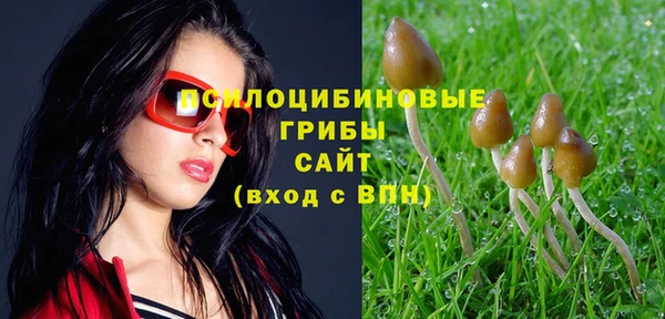 spice Зеленокумск