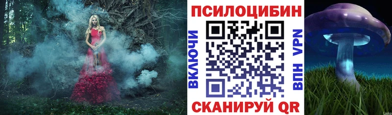 Купить  Карасук  Галлюциногенные грибы Cubensis 